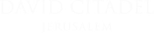 David Citadel logo